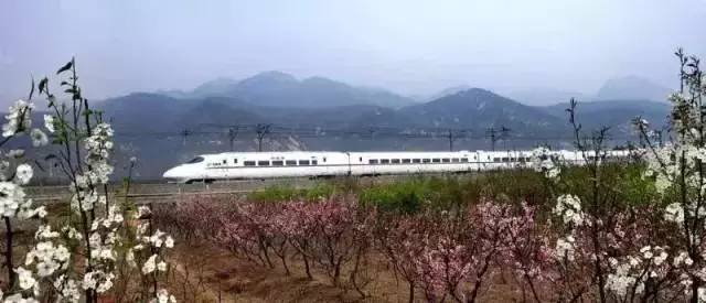 上海鐵路客運迎來新發(fā)展 專訪郭竹學局長解讀重大信息