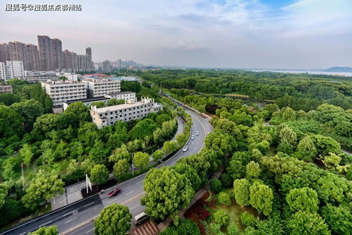 嘉興平湖愛(ài)情花漫里官方網(wǎng)站 開(kāi)啟浪漫生活，歡迎您的到來(lái)